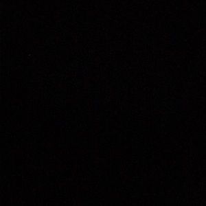 Meet your Posher, Raiven